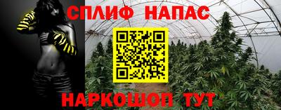 крисы Братск