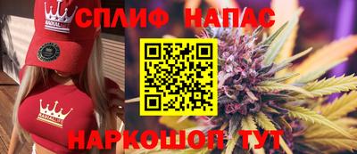 крисы Братск