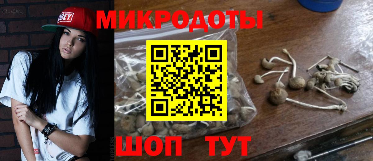 купить наркотики цена  Галлюциногенные грибы Cubensis  Вход с VPN  Ирбит 