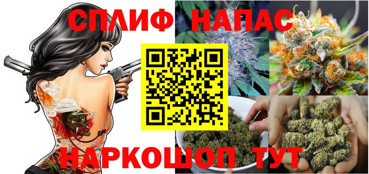 Канабис тримм  Вход с VPN  Ирбит  Бошки марихуана семена  Шишки марихуана THC 21%  Каннабис Amnesia 